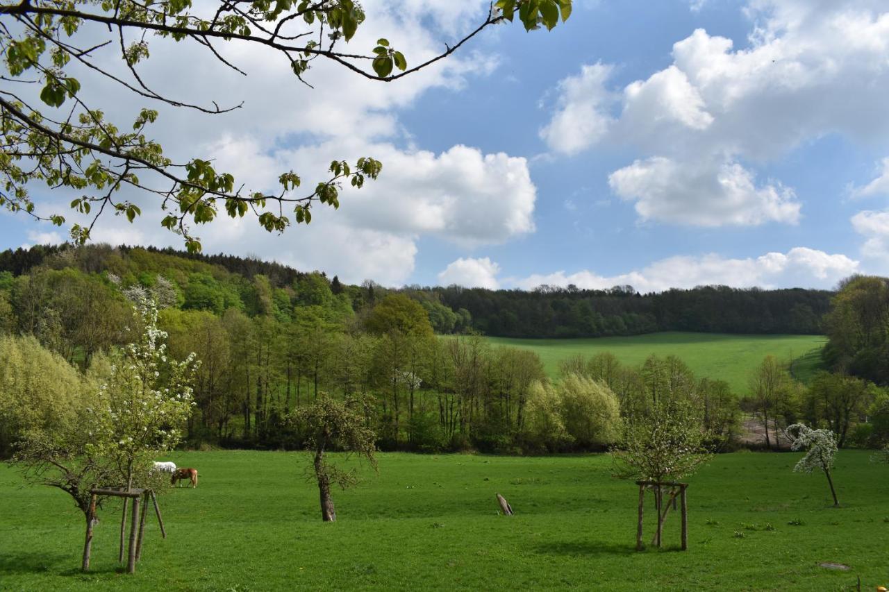 Ferienwohnung Guese Detmold Kültér fotó