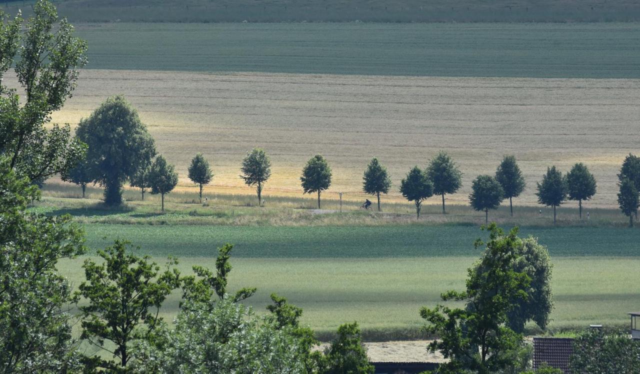 Ferienwohnung Guese Detmold Kültér fotó